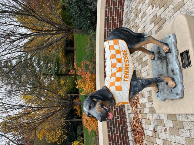 SmokeyFall1